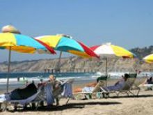 Beach umbrella